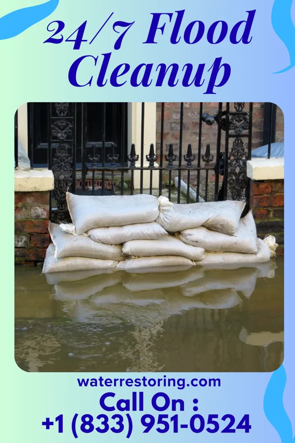 24/7 Flood Cleanup in Central Gardens, TX