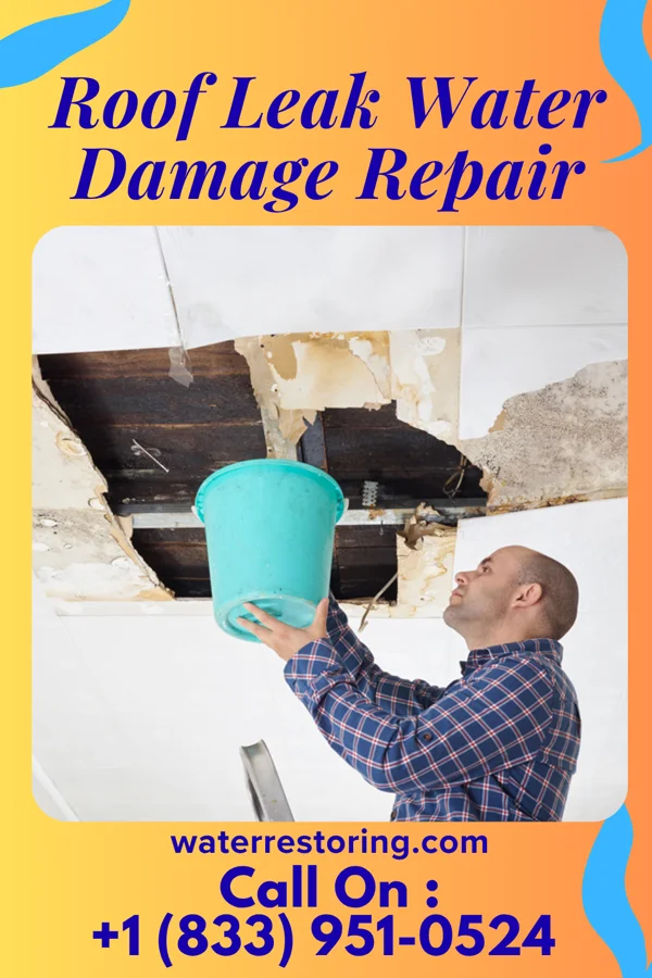 Roof Leak Water Damage Repair in Central Gardens, TX