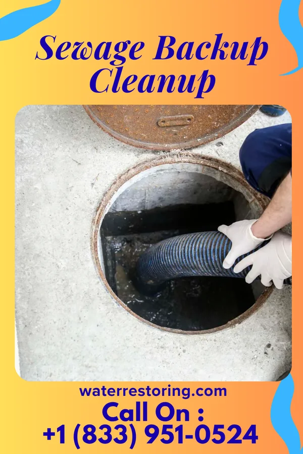 Sewage Backup Cleanup in Central Gardens, TX